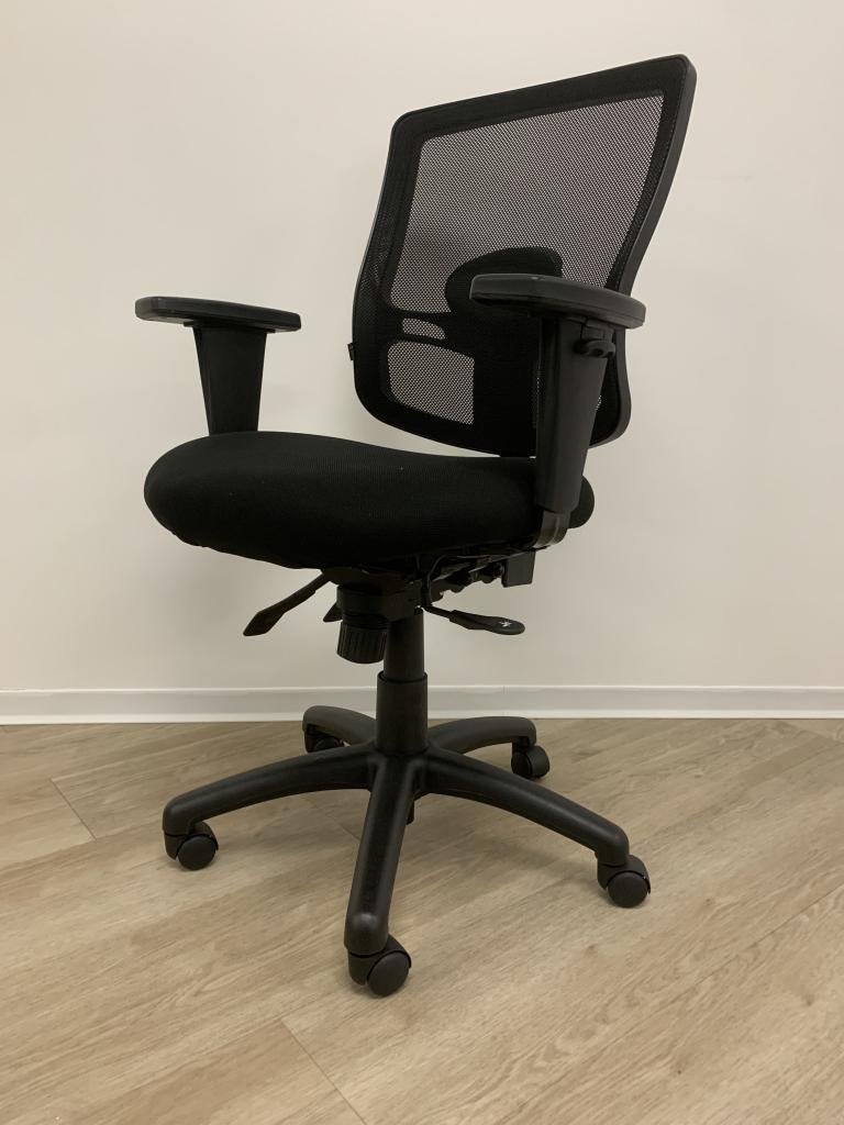 Alera Ergonomic Mesh Chair