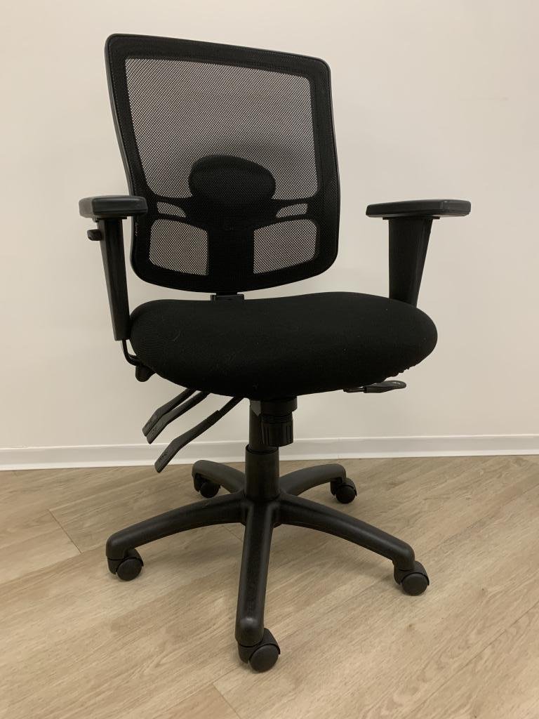 Alera Ergonomic Mesh Chair